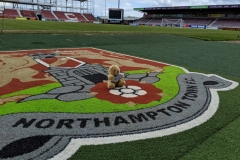 #bowelbear Charlie taking in Northampton Town FC