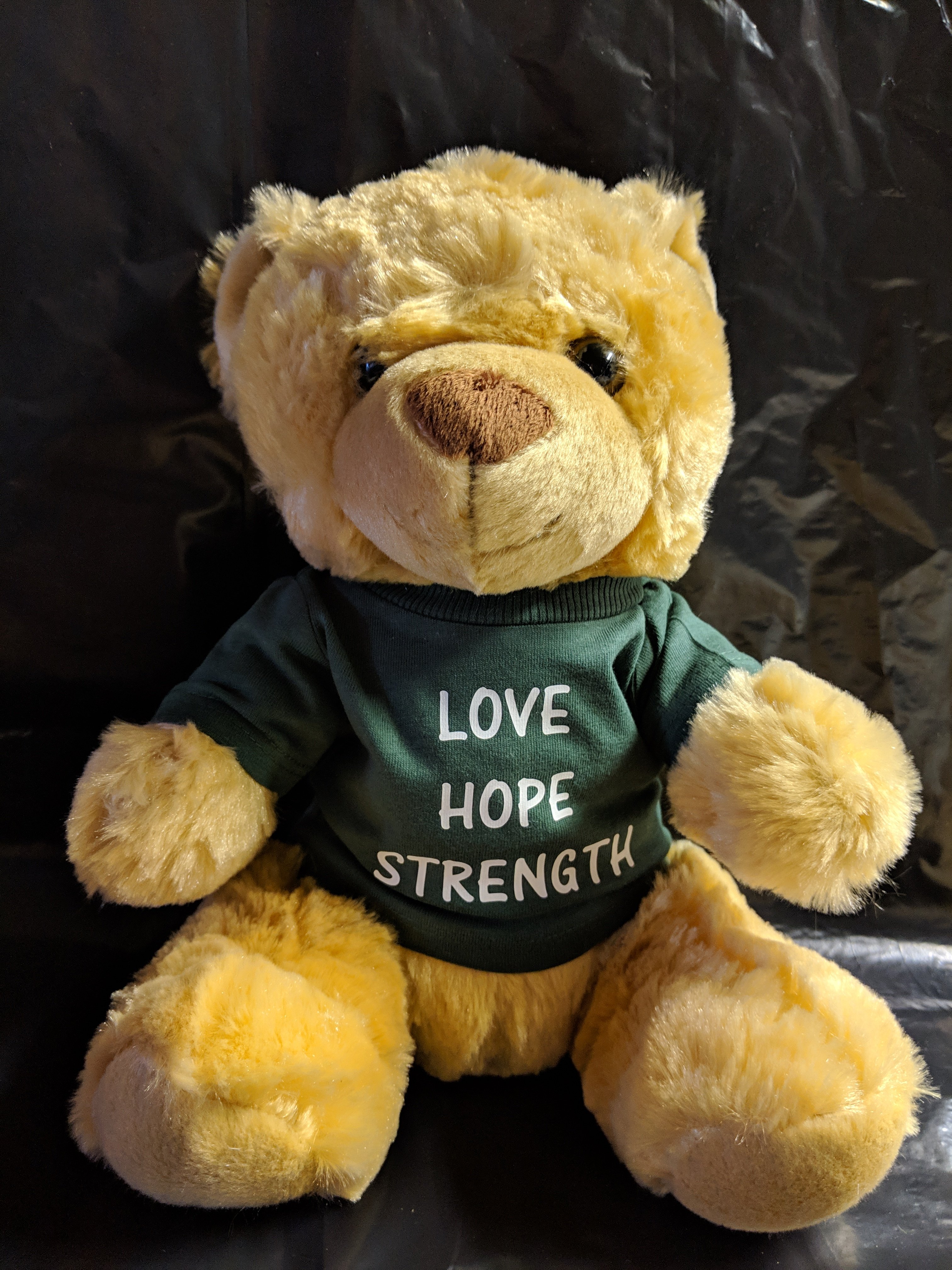 CURE Bears for Hope and Love